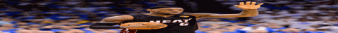 1591928551.png 1.png