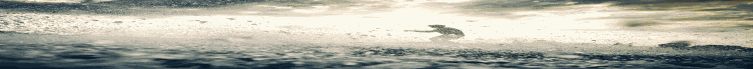 W1.jpg
