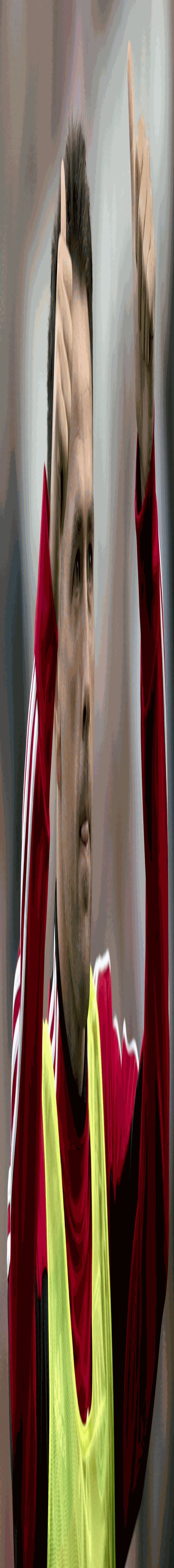 64b1c884cefff9e7d2a3ce44b3110cd0.png