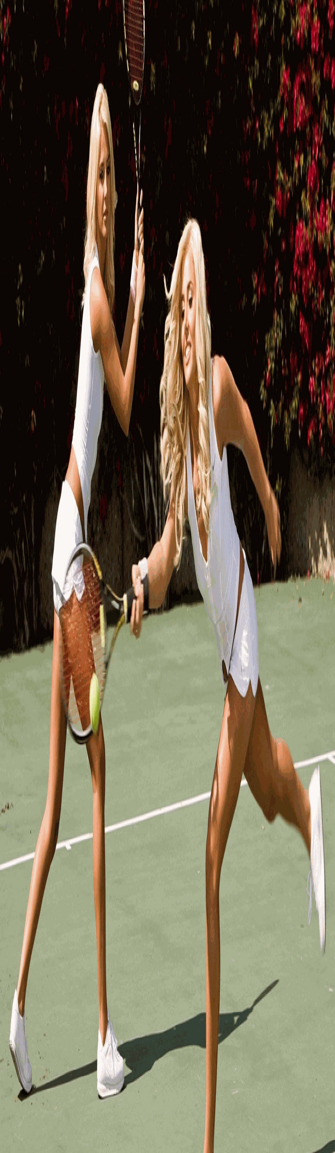 5eadf7bdd71c571ae956d3c39e223274.jpg