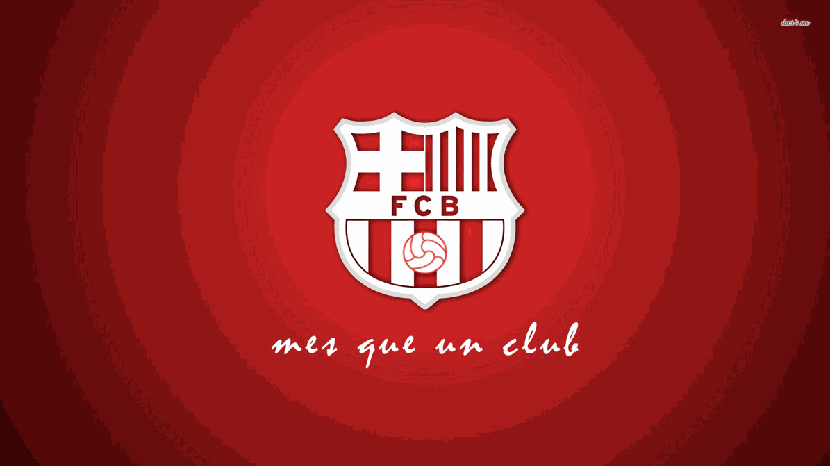 8813ca412cc9923bf07cf6f44f941d53.png