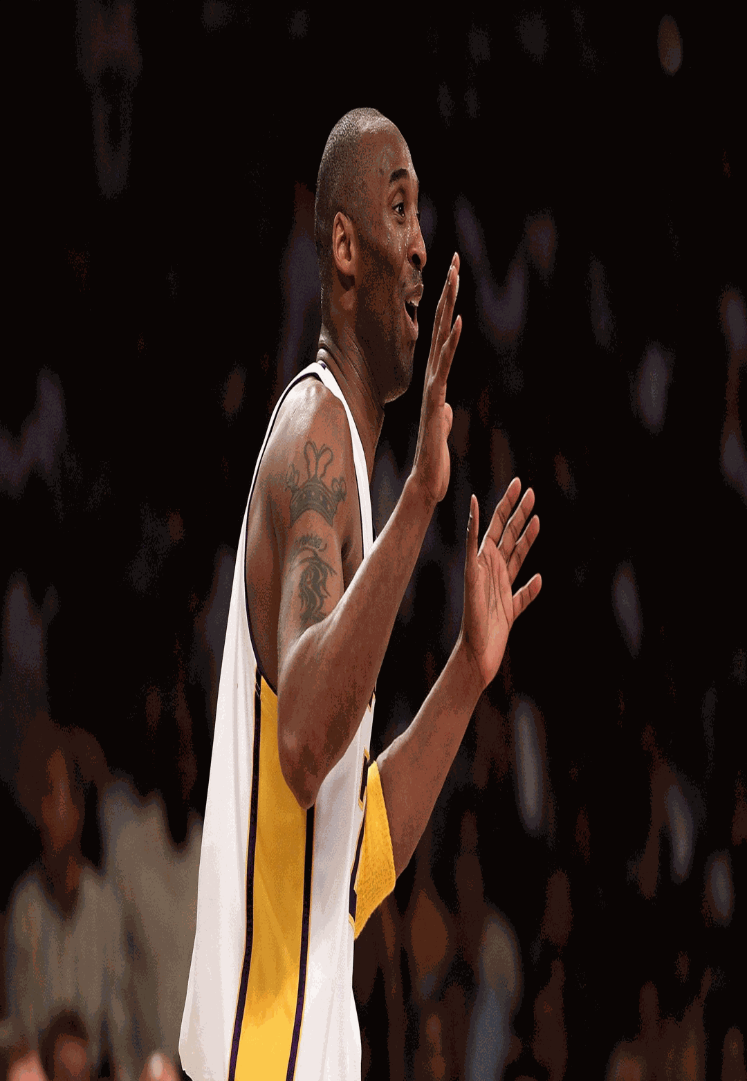 5dfcdb568eeeb8059c2cd744a555f326.png