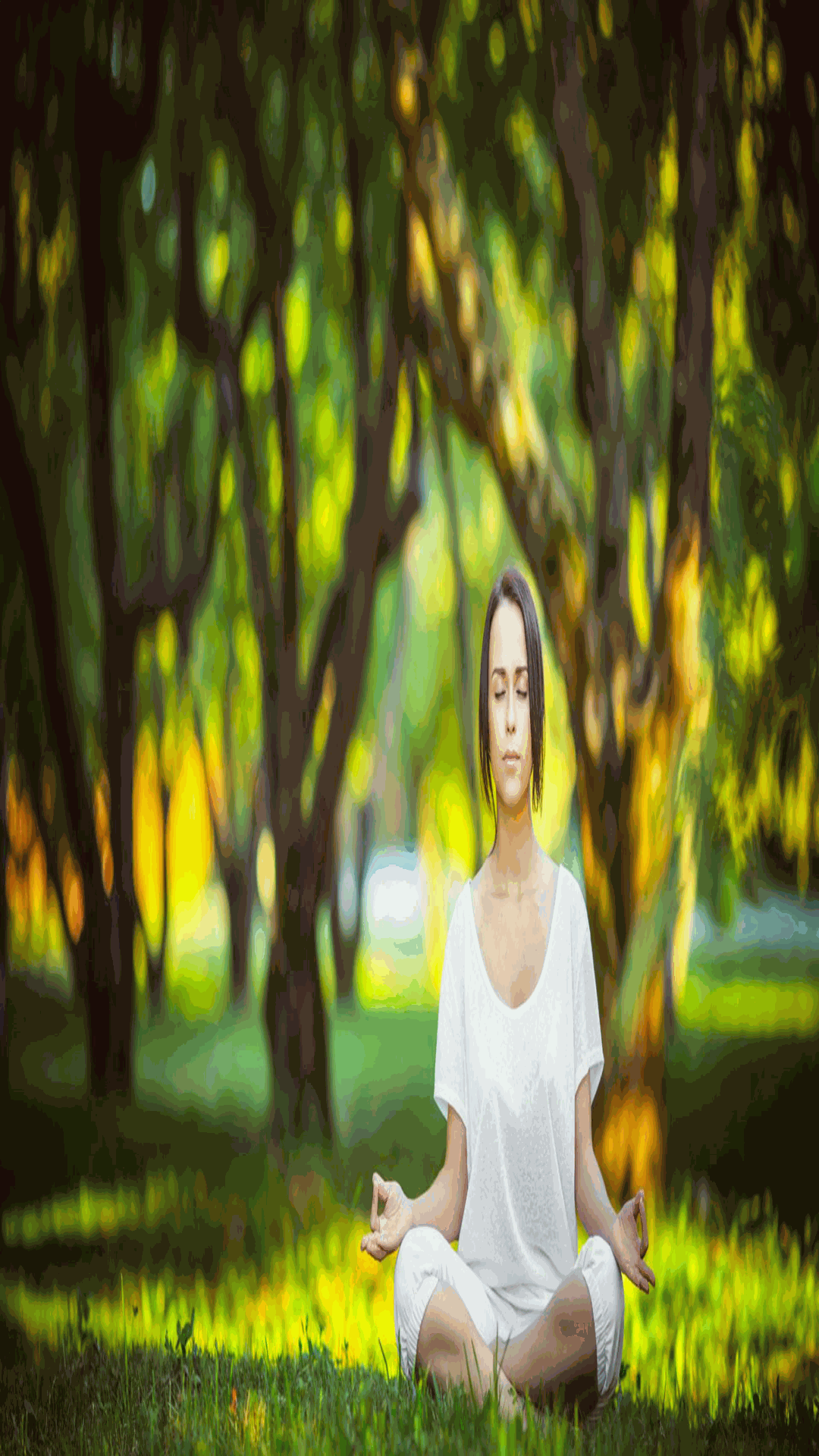 dfed5359310d97ec6c49a188b50d779c.png